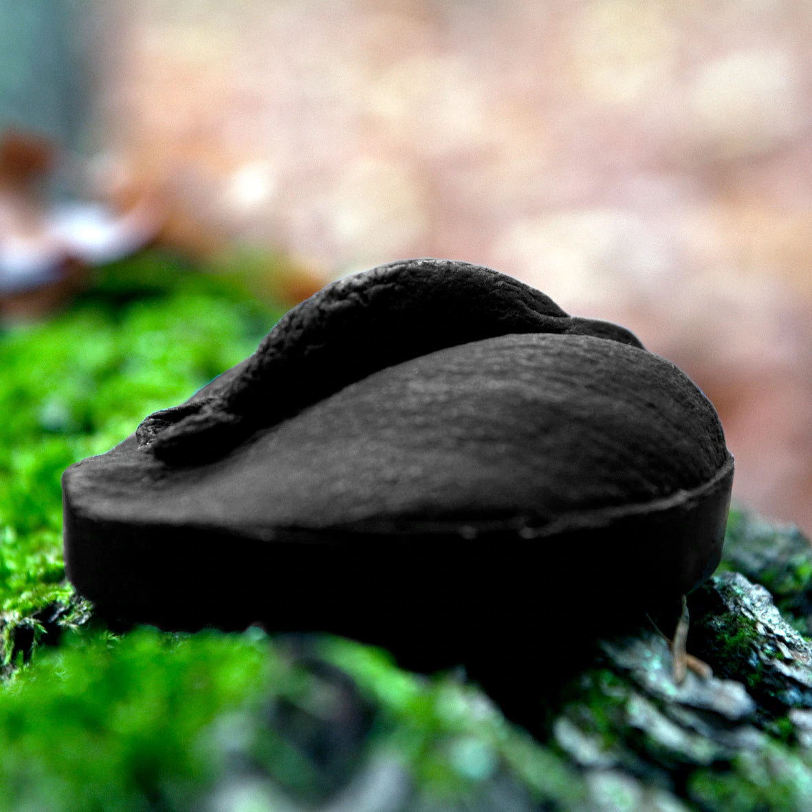 Handmade Vulva Shaped Soap Jojoba Oil and Charcoal Tailbone Shop