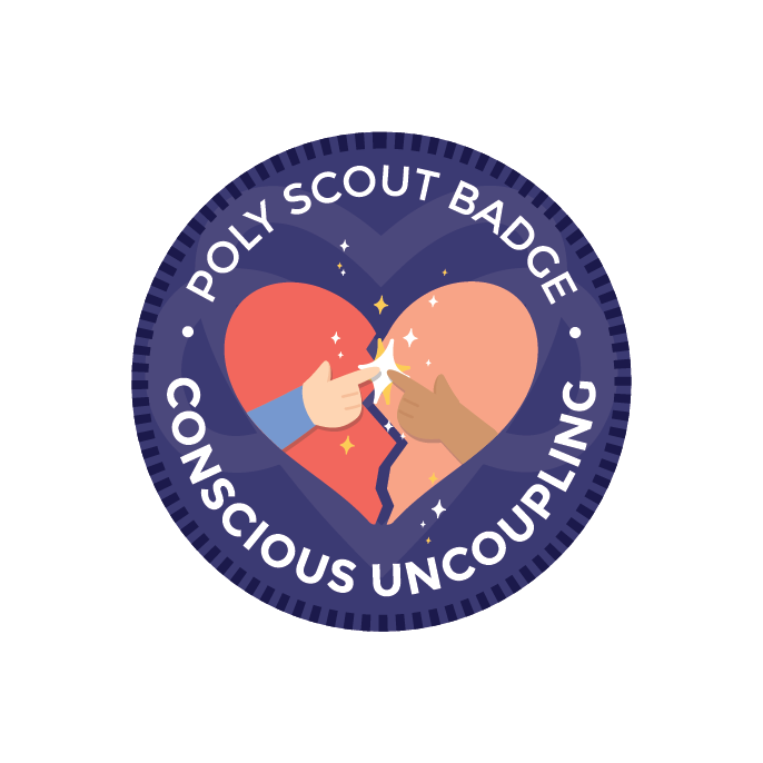 Poly Scout Badges